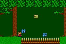 une photo d'Ã©cran de Alex Kidd in Miracle World sur Sega Master System